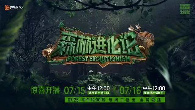 《森林进化论》：动物世界的生存游戏，揭秘自然法则下的残酷竞争